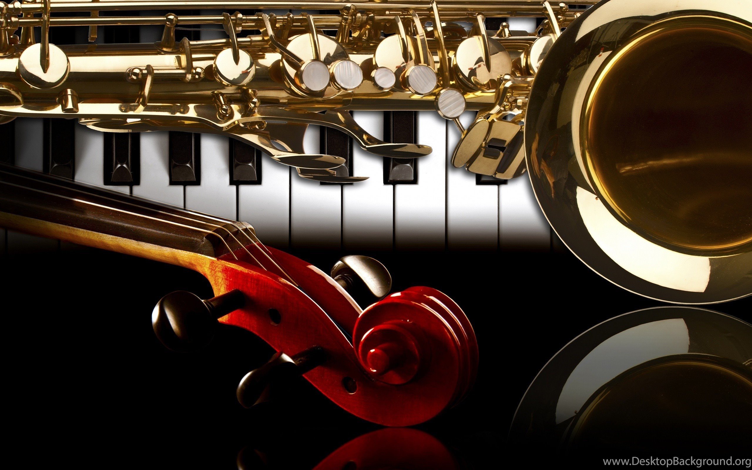 music-instruments-online-music-store-piano-traders